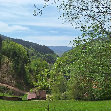 Wildnis- Und Offroad Camp Schwarzwald