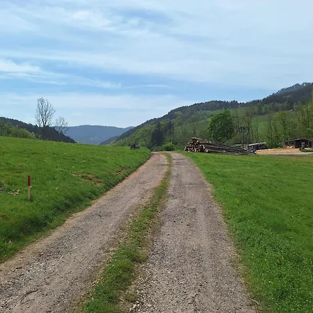 Campsite Wildnis- Und Offroad Camp Schwarzwald *